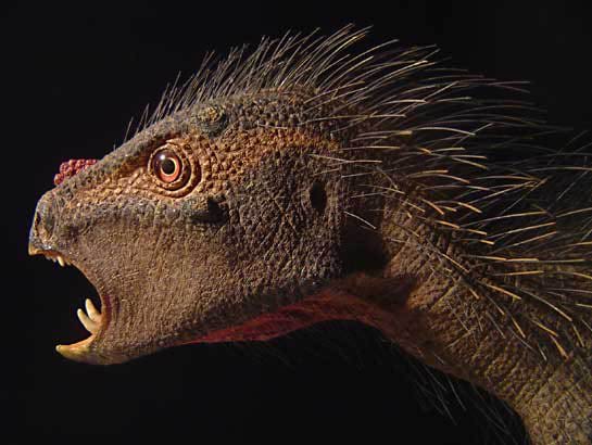 Top 15 Ugliest Animals 8 pegomastax