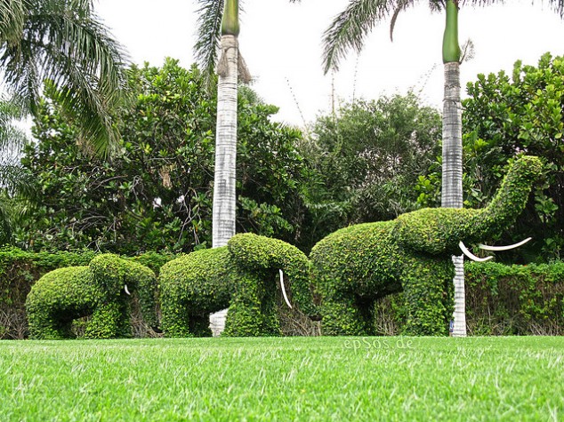 Most-Amazing-Grass-Sculptures-12-634x475 23 Remarkable Grass Sculptures