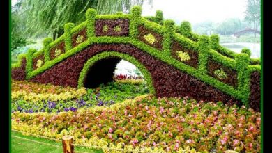 23 Remarkable Grass Sculptures 28 Most Amazing Grass Sculptures 6 634x475 23 Remarkable Grass Sculptures - 2