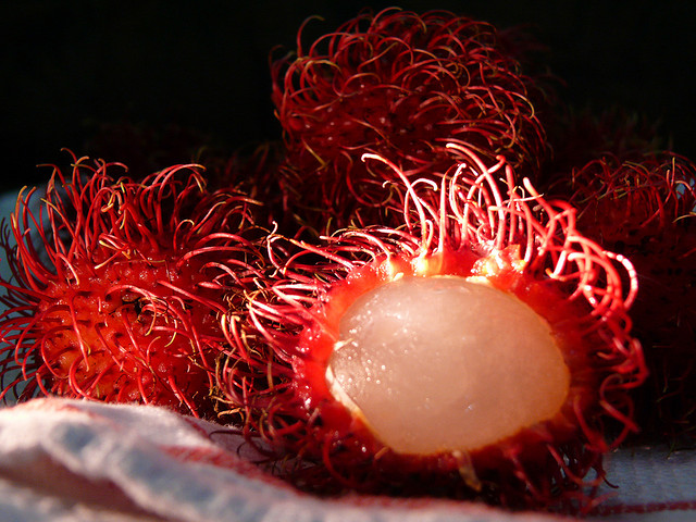 Rambutan 19 Weird Fruits From Asia, Maybe You Have Never Heard Of