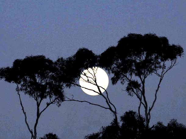 Slide427 15 Stunning Images Of A Supermoon Taken In Different Locations