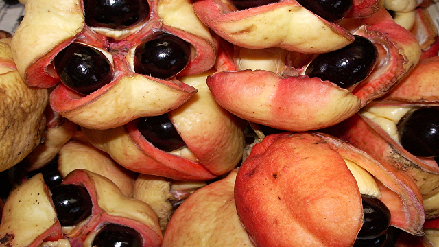 Ackee this fruit is full of good energy