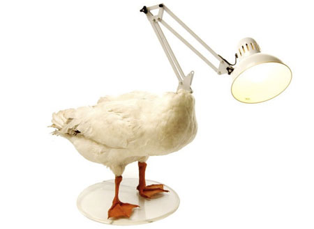 bb496_dead-duck-lamp 30 Most Unusual Furniture Designs For Your Home