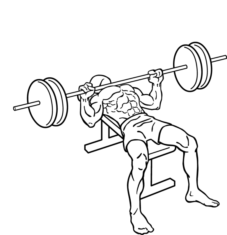bench-press-2 10 MMA Workouts to Achieve Fitness