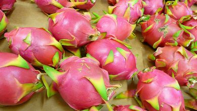 dragonfruit 19 Weird Fruits From Asia, Maybe You Have Never Heard Of - Health & Nutrition 6