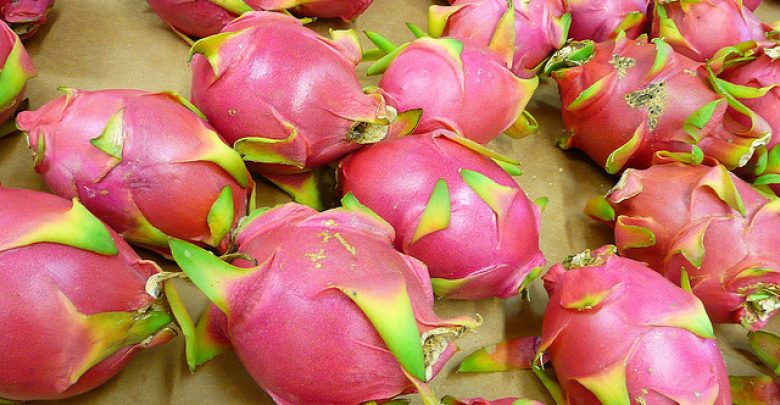 dragonfruit 19 Weird Fruits From Asia, Maybe You Have Never Heard Of - 1