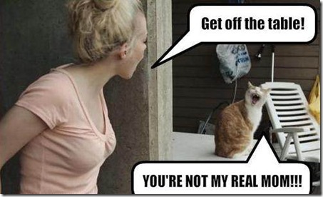 funny-pictures-cat-and-human-argue6 Top 24 Funny And Laughable Animals