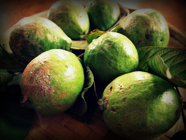guava