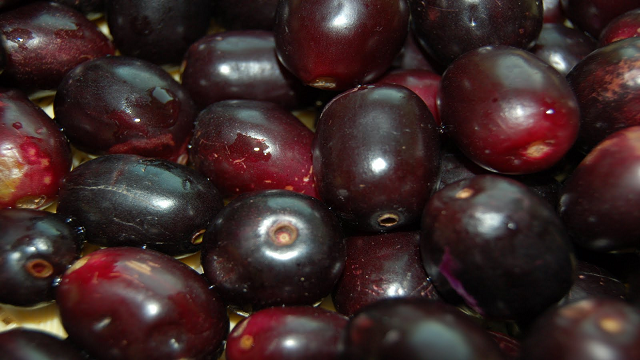 java-plum 23 Weird Fruits Which You Probably Have Never Eaten Before, But Should
