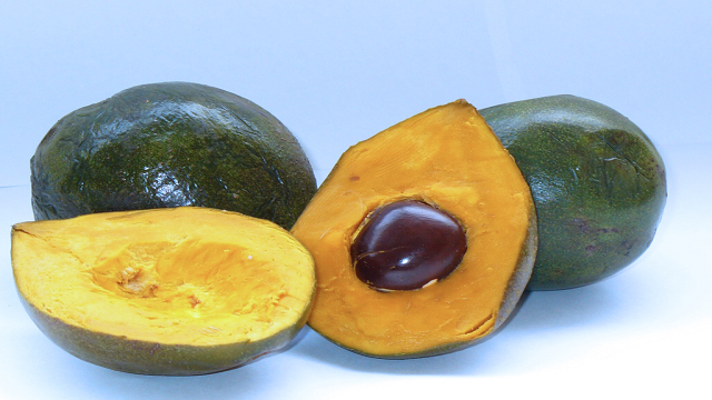 lucuma 23 Weird Fruits Which You Probably Have Never Eaten Before, But Should