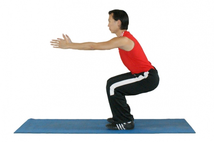 modified shijie body weight squat