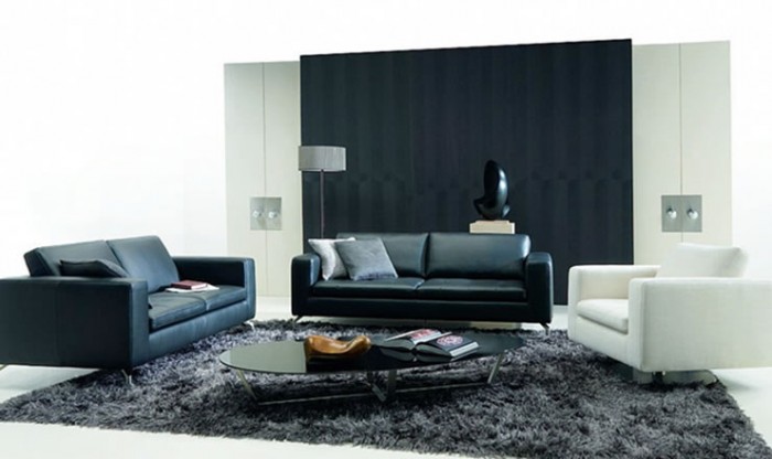 +20 Modern Ideas For Living Rooms Designs 5 pictures-black-white-living-rooms-4