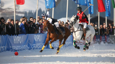 Top 20 Most Mysterious Sports From Around The World 37 snowpolo 1 Top 20 Most Mysterious Sports From Around The World - 3