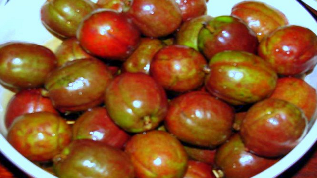 Spanish Plum its syrup could cure some diseases such as chronic diarrhea or an antiseptic for wound