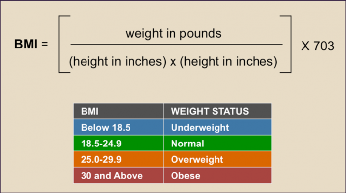 BMI_2 Are you Overweight, Underweight, Obese or at a Normal Weight?