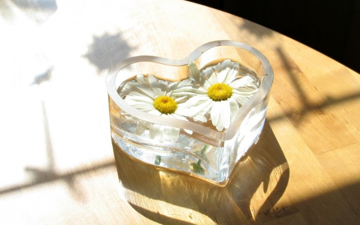 Do You Know How to Overcome Asian Glow? 16 Heart-Chamomile