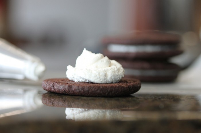 Learn to Make Oreo Cookies on Your Own 27 IMG_2362-XL