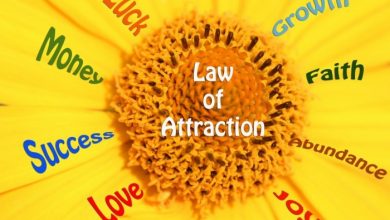Law of Attraction Discover the Secrets to Explode the Full Power of the Law of Attraction - 8 chess player