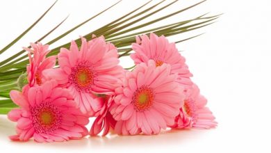 bouquet flowers wallpapers hd 17 10 Inexpensive and Fabulous Spring Gift Ideas - 1 spring gift ideas