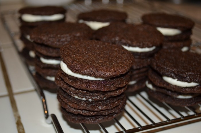 Learn to Make Oreo Cookies on Your Own 30 dsc_0789