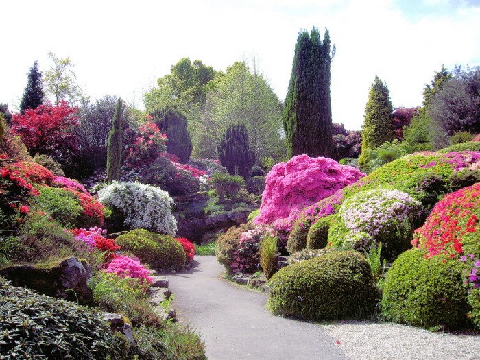 landscape-design-plans-rock-flower-a-to-z-home-and-garden-design