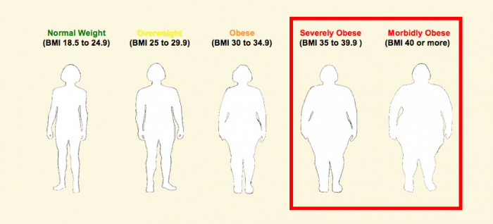 Underweight Normal Overweight Obese Chart