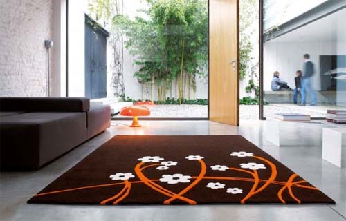 8 Tips On Choosing A Carpet For Your Living Room 6 rug-cleaning-minneapolis