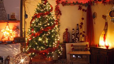 stylish christmas decor Tips With Ideas Of Decorations For Christmas Celebrations - Home Decorations 1