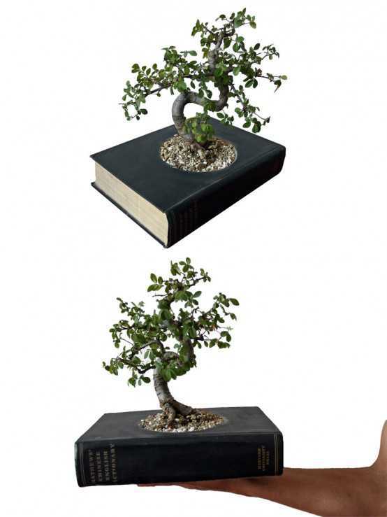 15 Fascinating & Unusual Christmas Presents 53 Decorative-Indoor-Planters