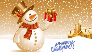 Merry christmas messages 45 Non-traditional & Funny Christmas Gifts - 542 Christmas decoration trends
