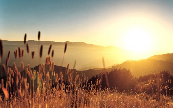 Basic Information And Facts About The Sun 4 Morning-Sunrise-Mountain-Grass-Landscape