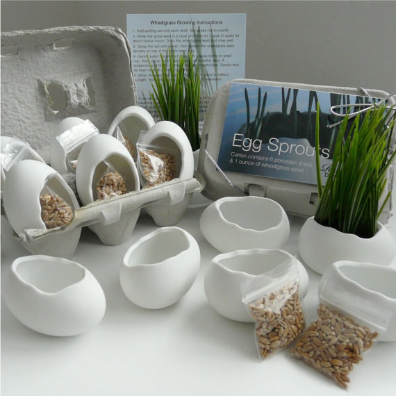 15 Fascinating & Unusual Christmas Presents 51 contemporary-indoor-pots-and-planters