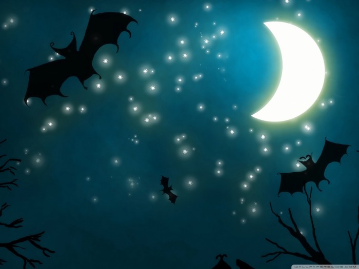 Oh My God! Did You Hear Such a Scary Voice Before? 10 halloween_night-wallpaper-1152x864
