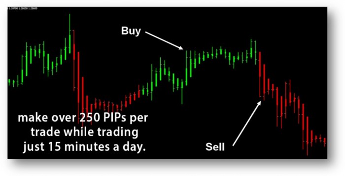 image002 Turn $100 into $6,500 in Less than 5 Weeks with Easy Pips Formula