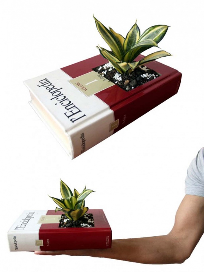 15 Fascinating & Unusual Christmas Presents 56 indoor-planters-collection