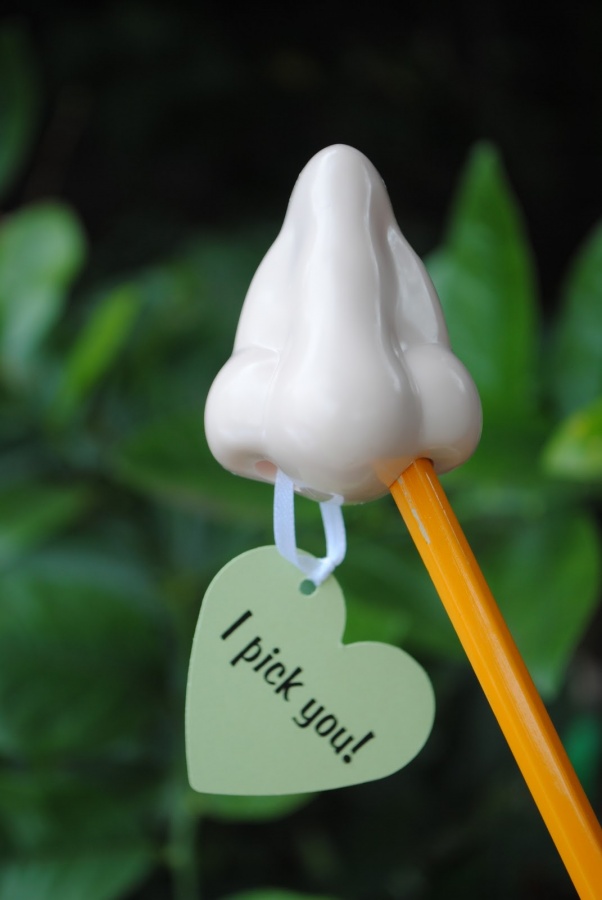 nose-shaped-pencil-sharpener 45 Non-traditional & Funny Christmas Gifts for 2021
