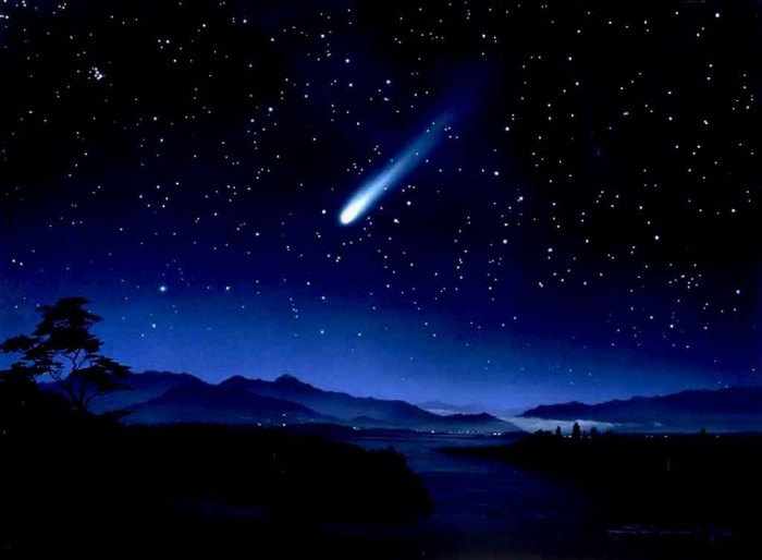 Names Of The Top 10 Most Brightest Stars In The Sky 7 shooting_star