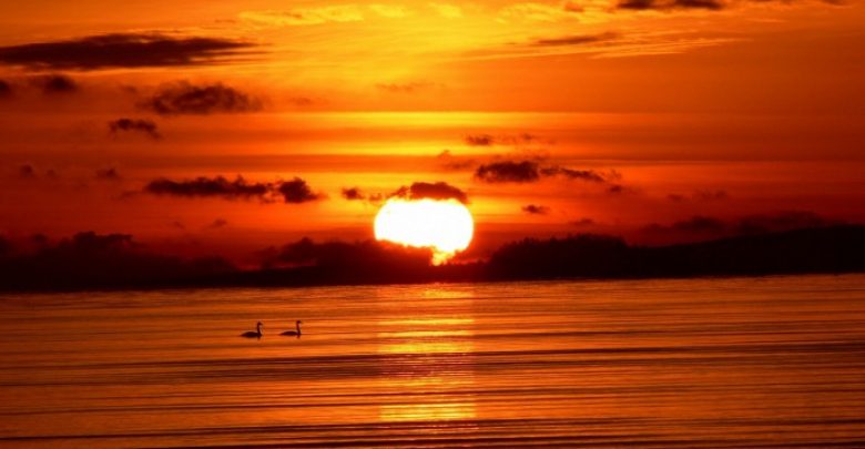 sunset sea birds hd wallpapers 30597 Basic Information And Facts About The Sun - 1