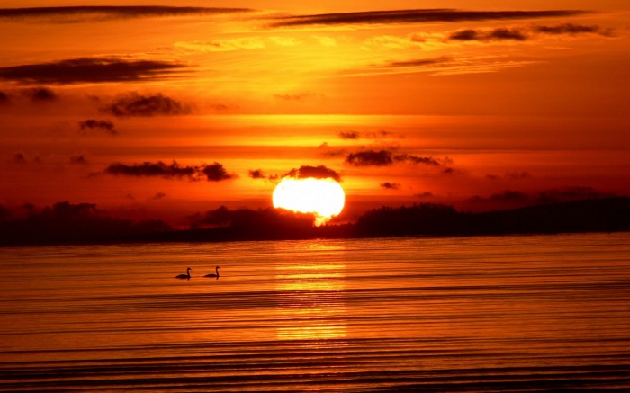 Basic Information And Facts About The Sun 5 sunset-sea-birds-hd-wallpapers-30597