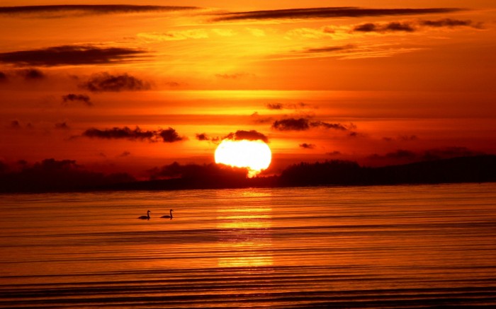 sunset-sea-birds-hd-wallpapers-30597 Basic Information And Facts About The Sun