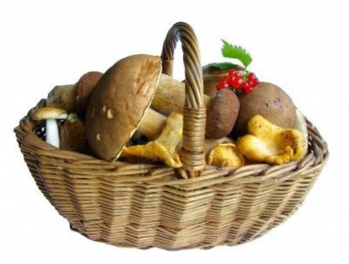 318882-basket-full-of-mushrooms-isolated-image 10 Types of Food to Provide You with Longevity & Good Health