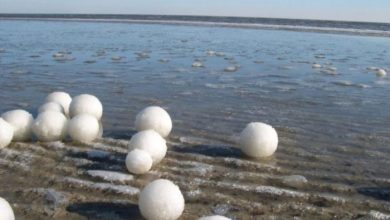 320412 Massive Ice Boulders Found in a Huge Number on Lake Michigan Shore - Lifestyle 2