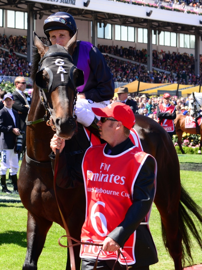 Fiorente which is the lucky winner in Melbourne Cup for this year 2013