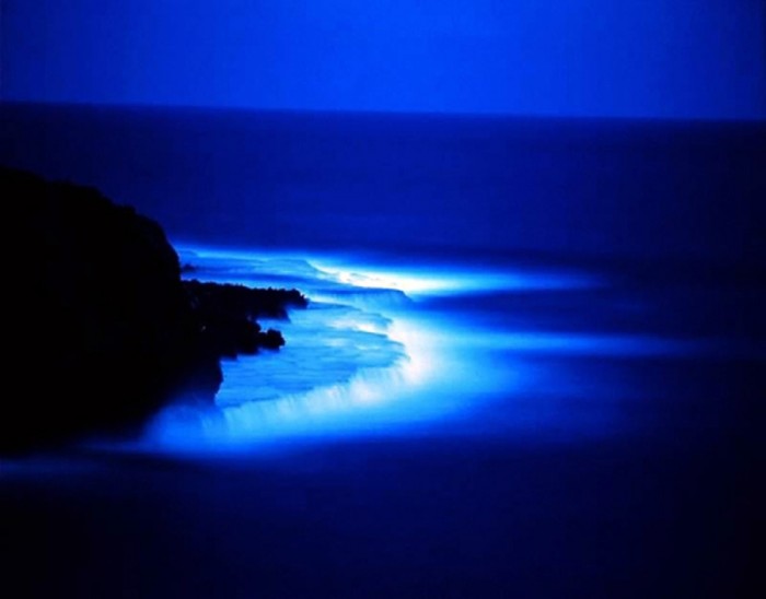Glow-10 Magnificent and Breathtaking Blue Waves that Glow at Night