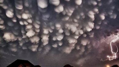 Have You Ever Seen These Stunning Clouds with Mammae? 31 Mammatus clouds Have You Ever Seen These Stunning Clouds with Mammae? - 8 fire rainbows