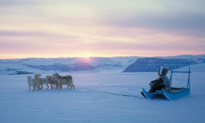 Adventure Travel Destinations to Enjoy an Unforgettable Holiday 48 N Greenland dogsled