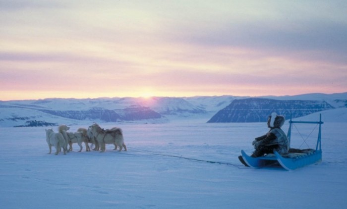 N-Greenland-dogsled Adventure Travel Destinations to Enjoy an Unforgettable Holiday
