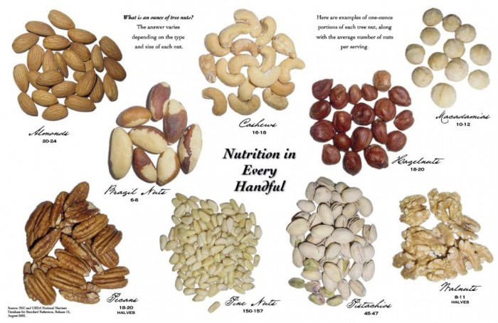 NutServings2 10 Types of Food to Provide You with Longevity & Good Health