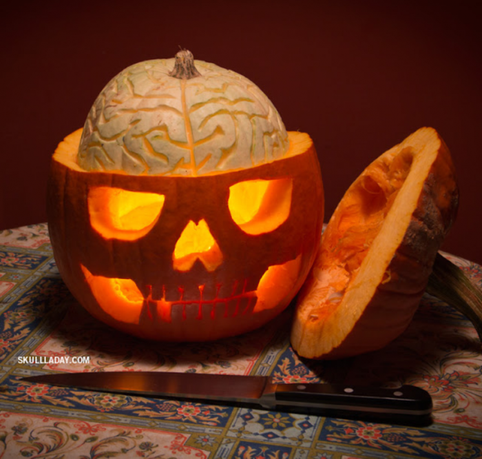 Pumpkin anatomy