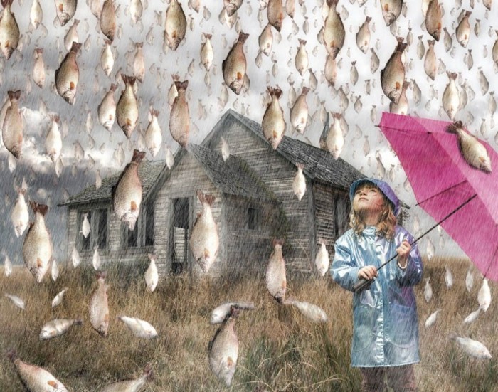 Believe It Or Not! It Is Raining Fish In Honduras Instead Of Water Drops